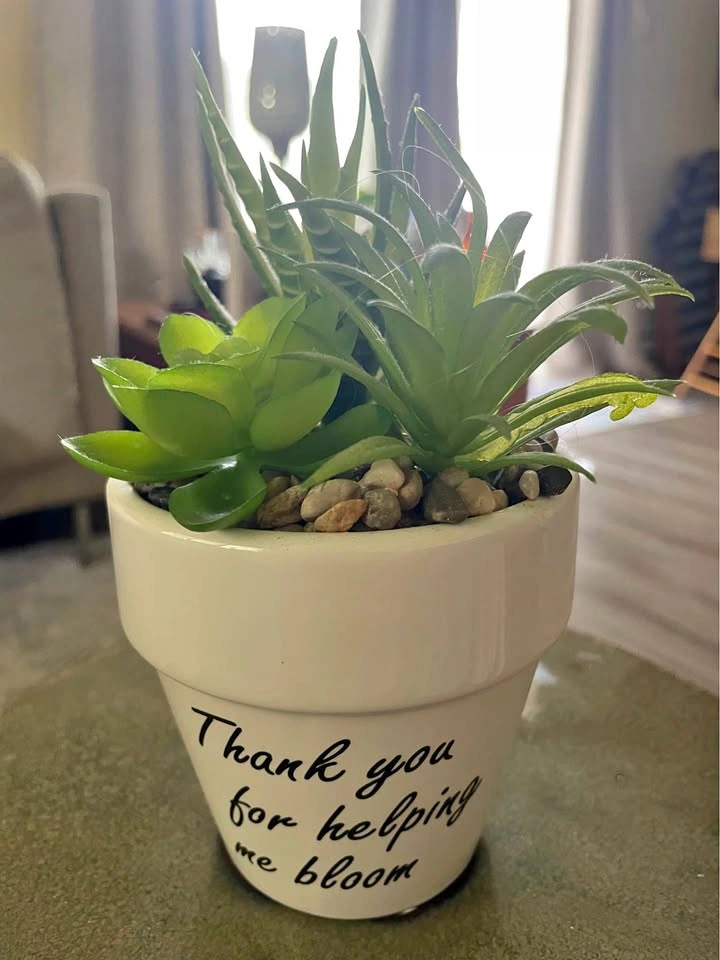 Cute artificial succulent plant in 'Thank you for helping me blo