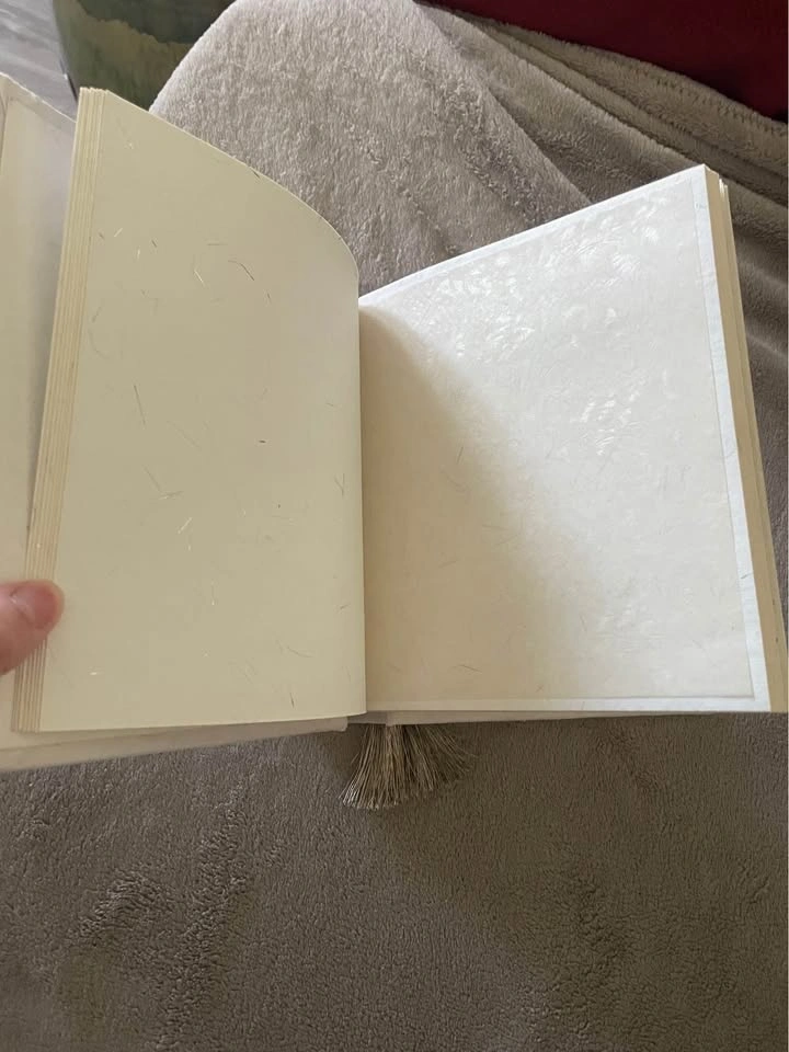 Cream Silk Beaded Art Portfolio/Album/Guest Book - photo 3