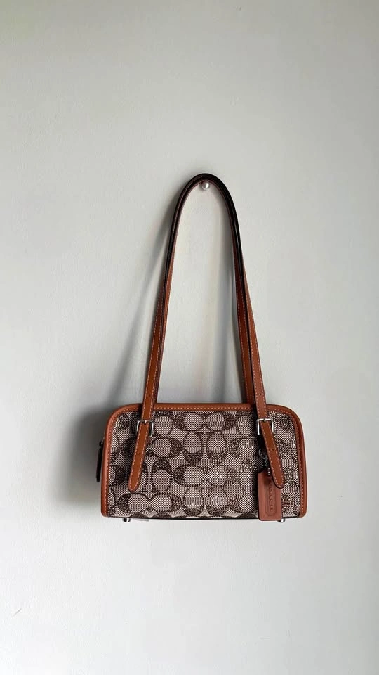 Coach Crystal Swing Zip 20