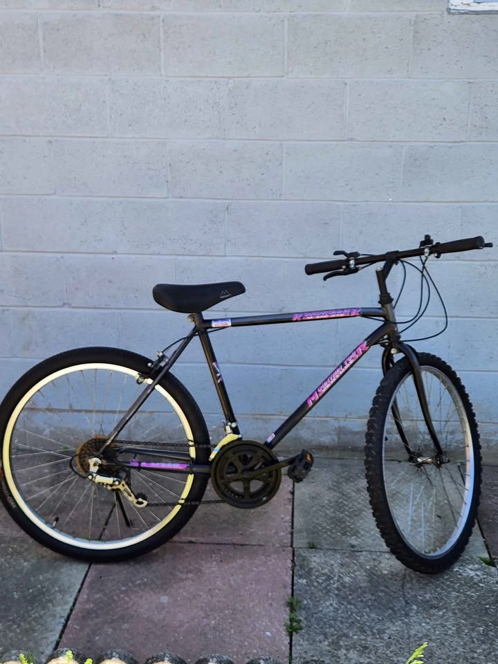 Bike - Roadrunner