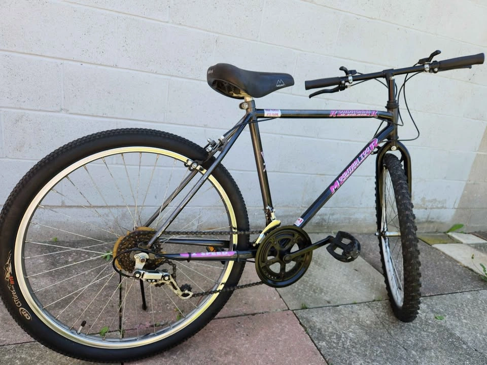 Bike - Roadrunner - photo 2