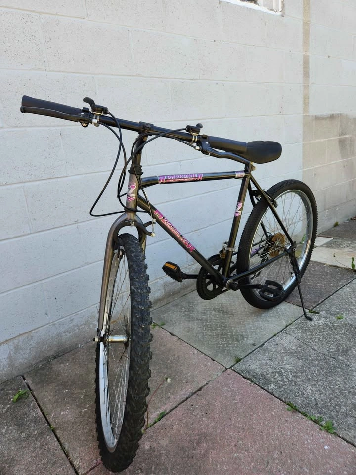 Bike - Roadrunner - photo 3