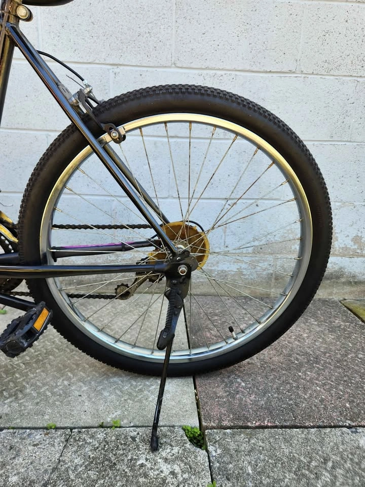 Bike - Roadrunner - photo 5