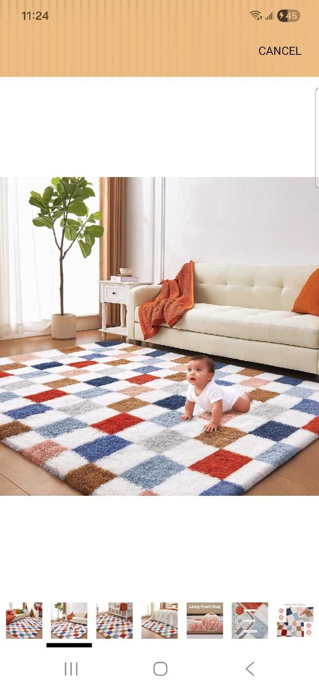 Brand New 6x4 Shag Rug