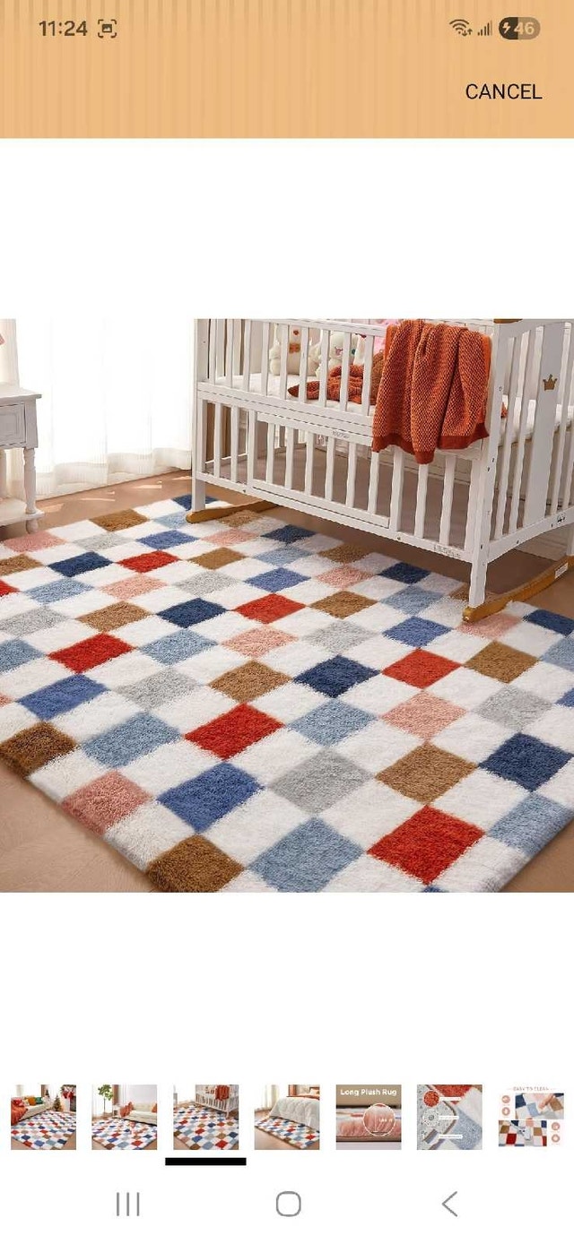 Brand New 6x4 Shag Rug - photo 2