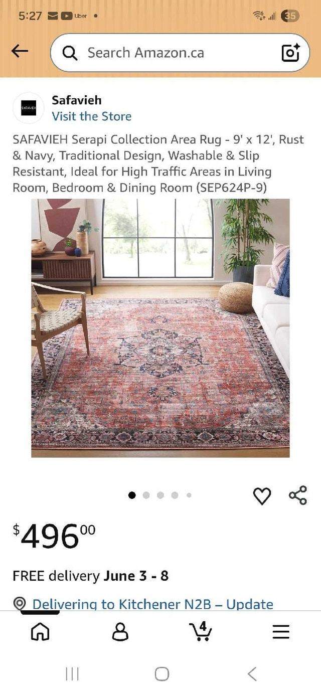 Safavieh Rug 9x12 Brand New