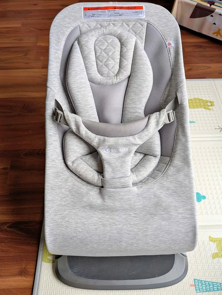 Ergobaby Baby Bouncer - Gently Used