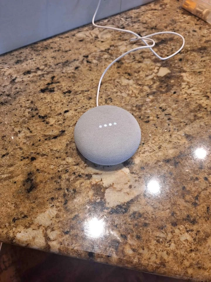 Google Nest Mini
