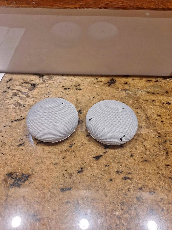 Google Nest Mini