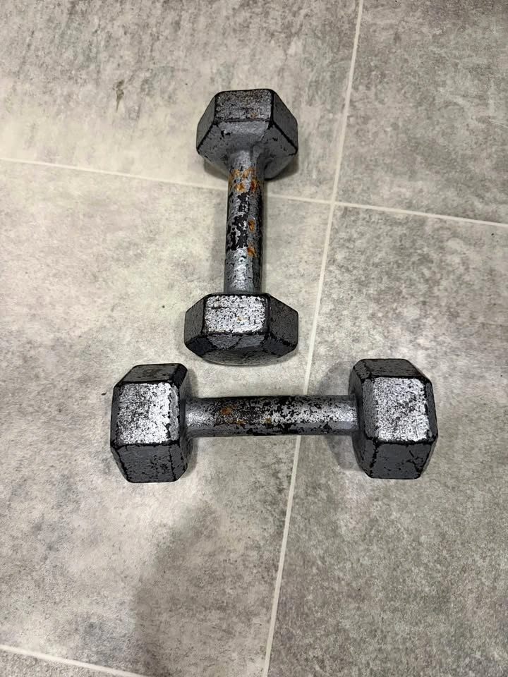 Home Gym Dumbbells – 2 x 8 lb Metal Weights