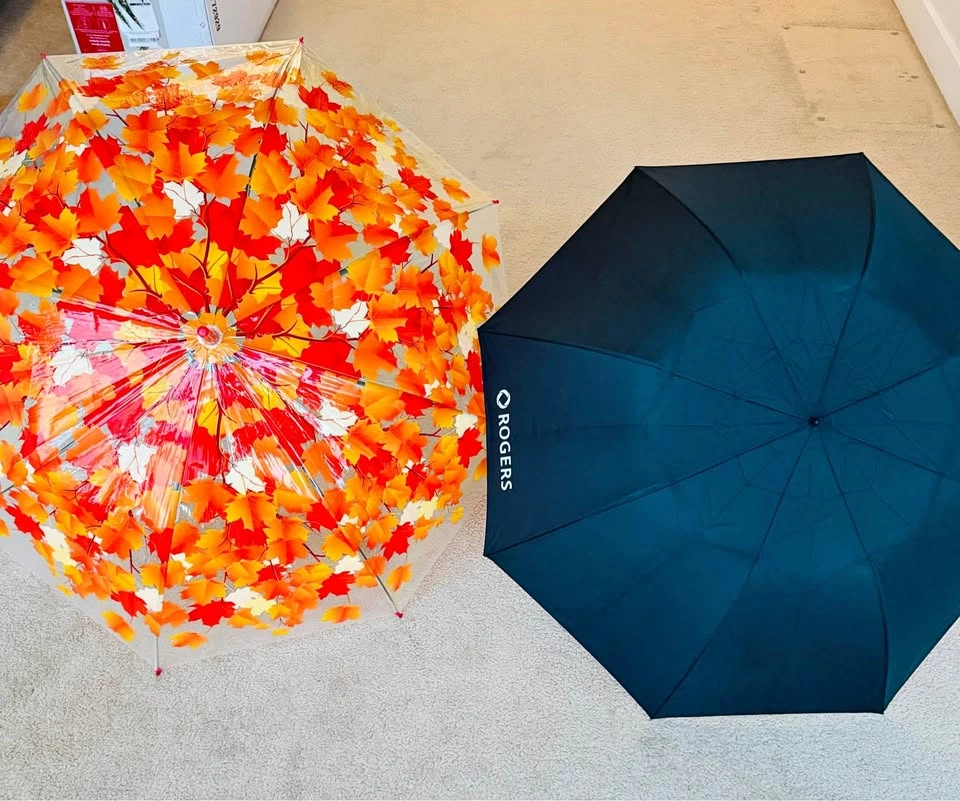 2 Full Size Umbrellas – Black & Floral Print