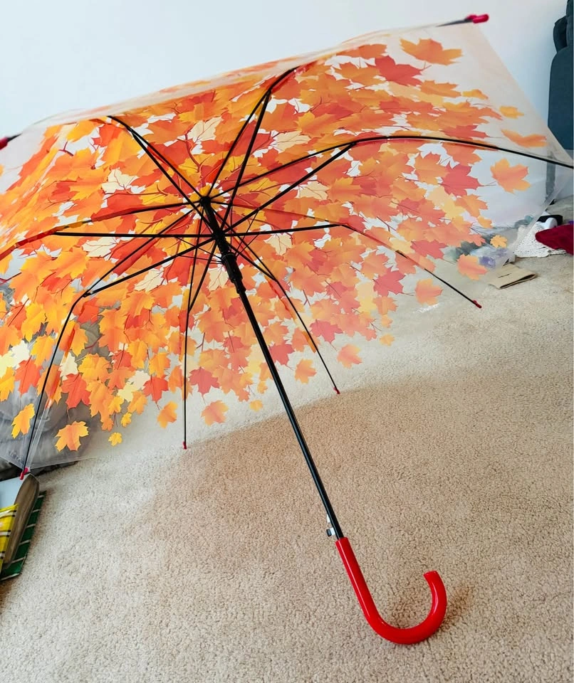 2 Full Size Umbrellas – Black & Floral Print - photo 2