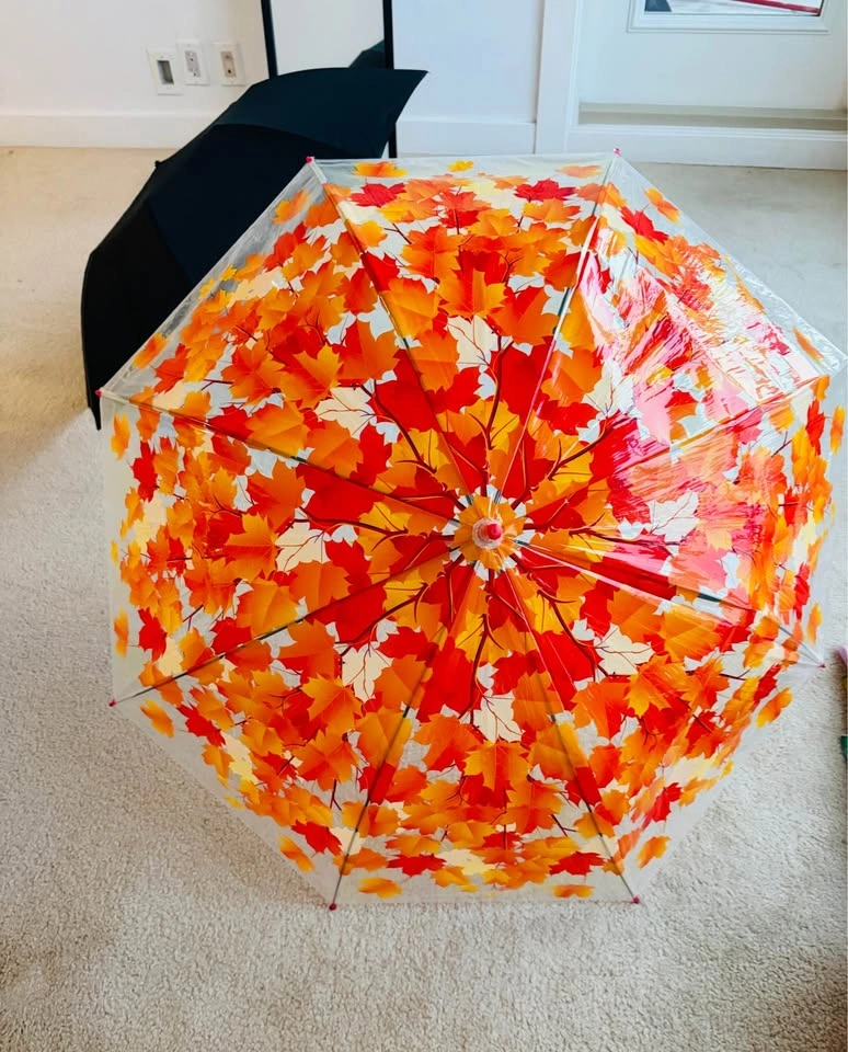 2 Full Size Umbrellas – Black & Floral Print - photo 3