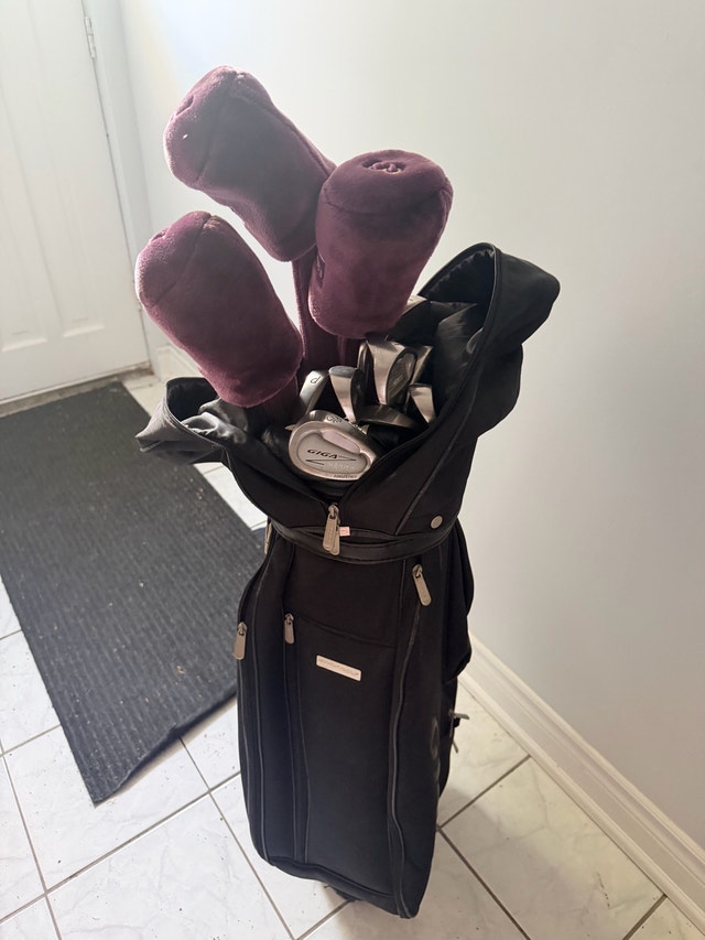 Giga Golf Clubs - photo 2