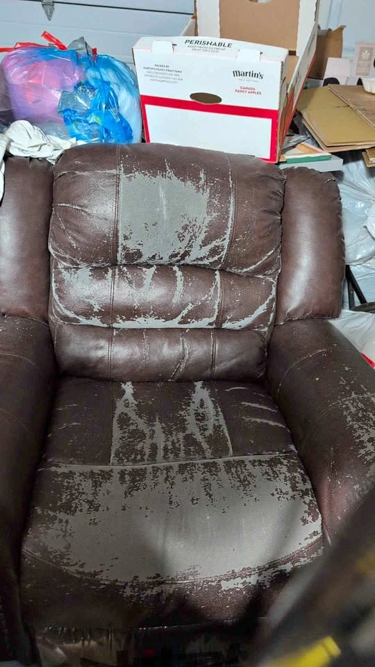 Reclining Sofa