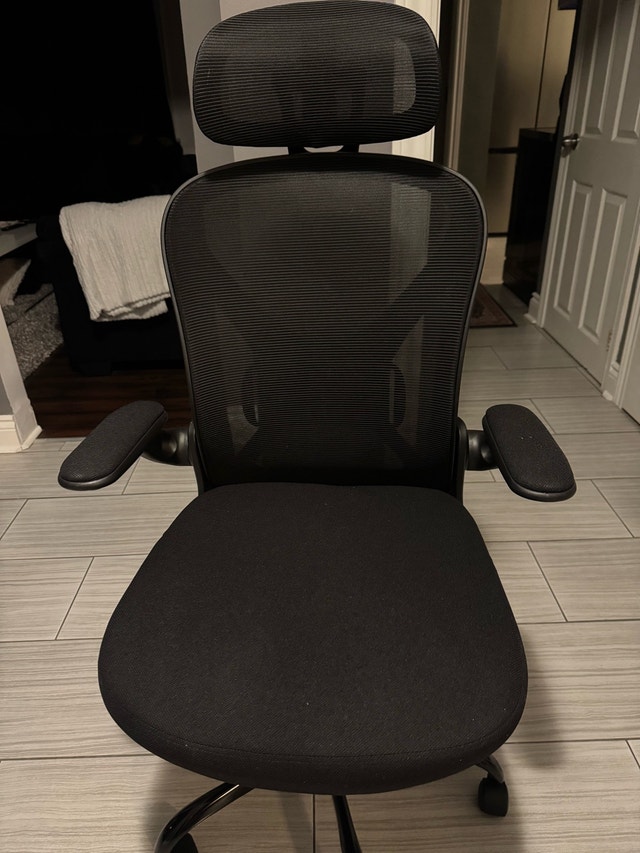 Ergonomic Office Chair