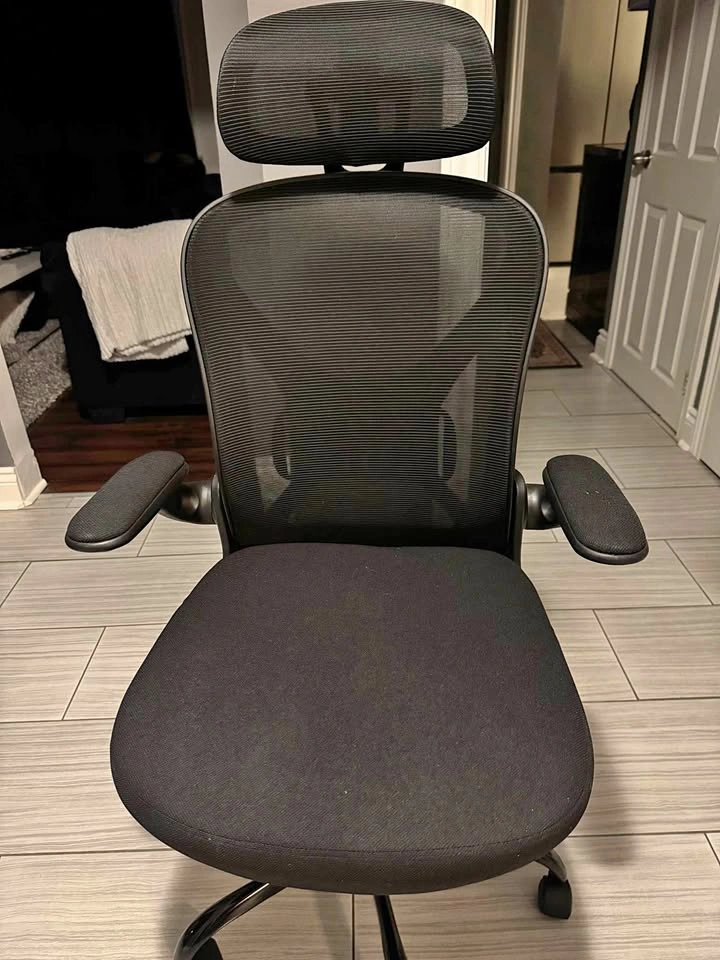 Ergonomic Office Chair