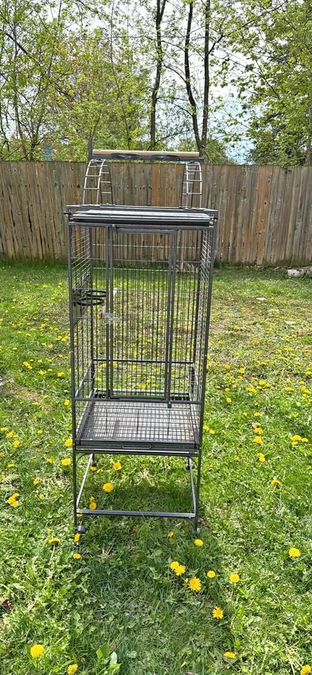 Bird Cage
