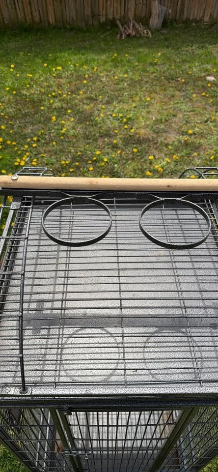 Bird Cage - photo 2