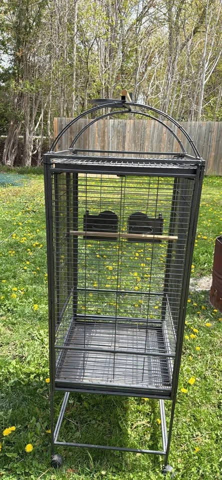 Bird Cage - photo 3