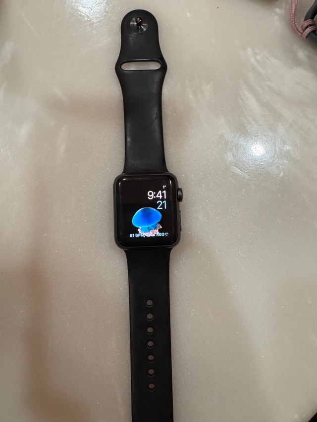 Apple Watch and Charger - 65