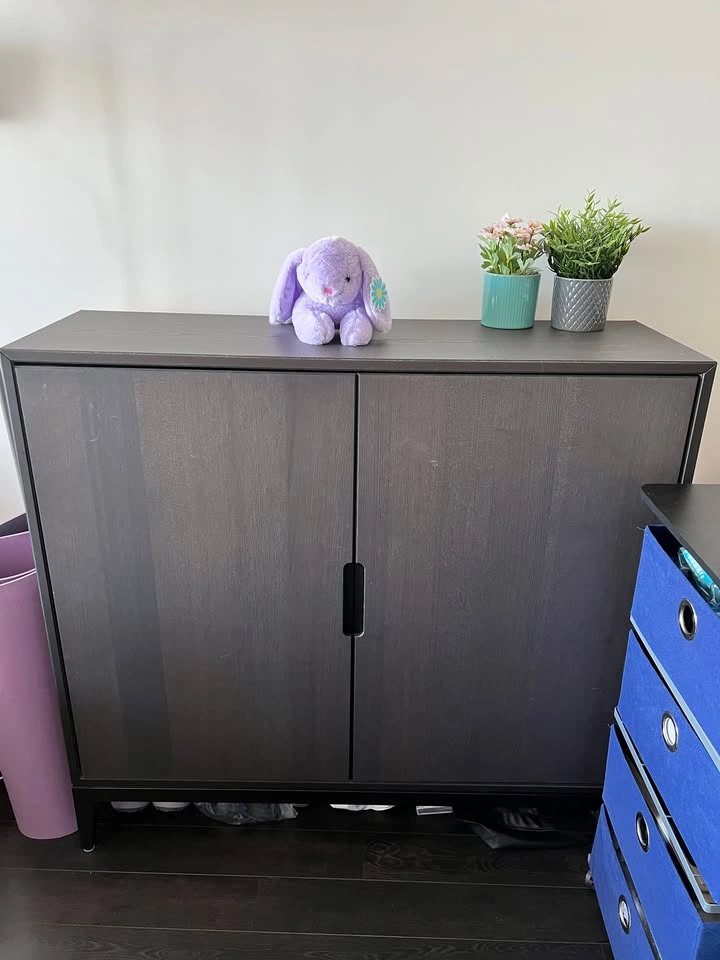 Brown Cabinet - Ikea Regissör - photo 4