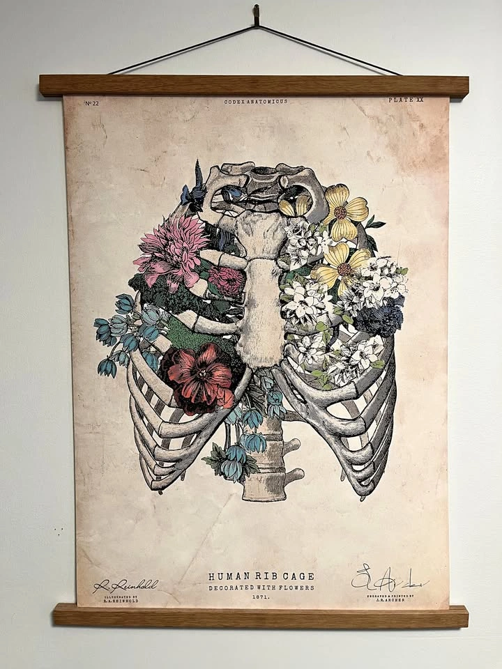 Codex Anatomicus Rib Cage Flower Art Print