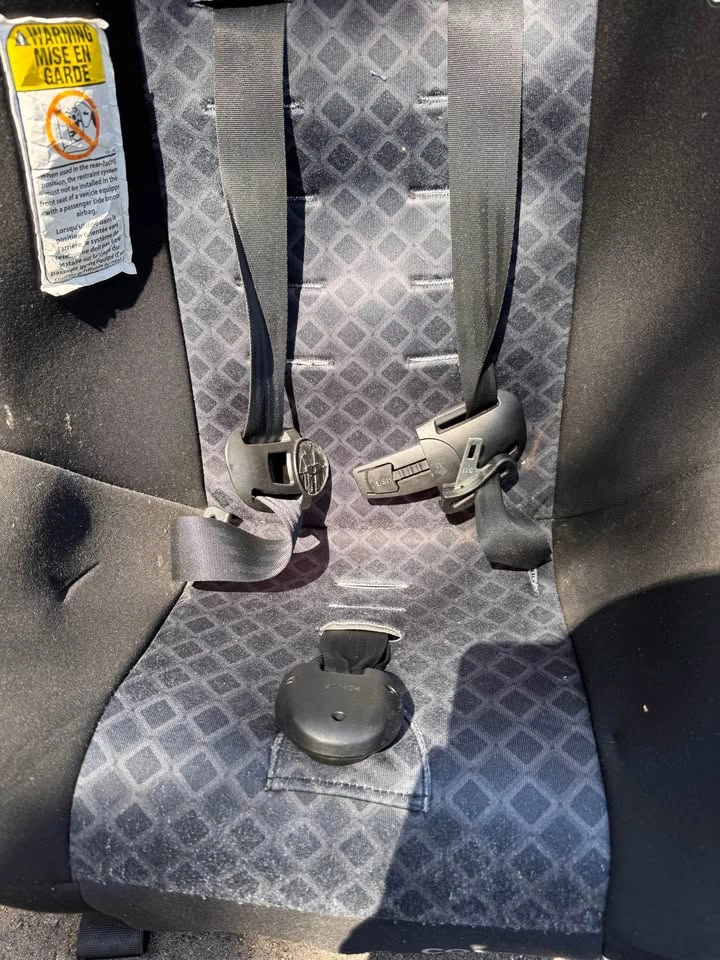 Cosco Scenera NEXT Convertible Car Seat, Boulder - photo 4