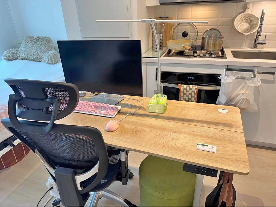 Electric Standing Desk + Ergonomic Office Chair