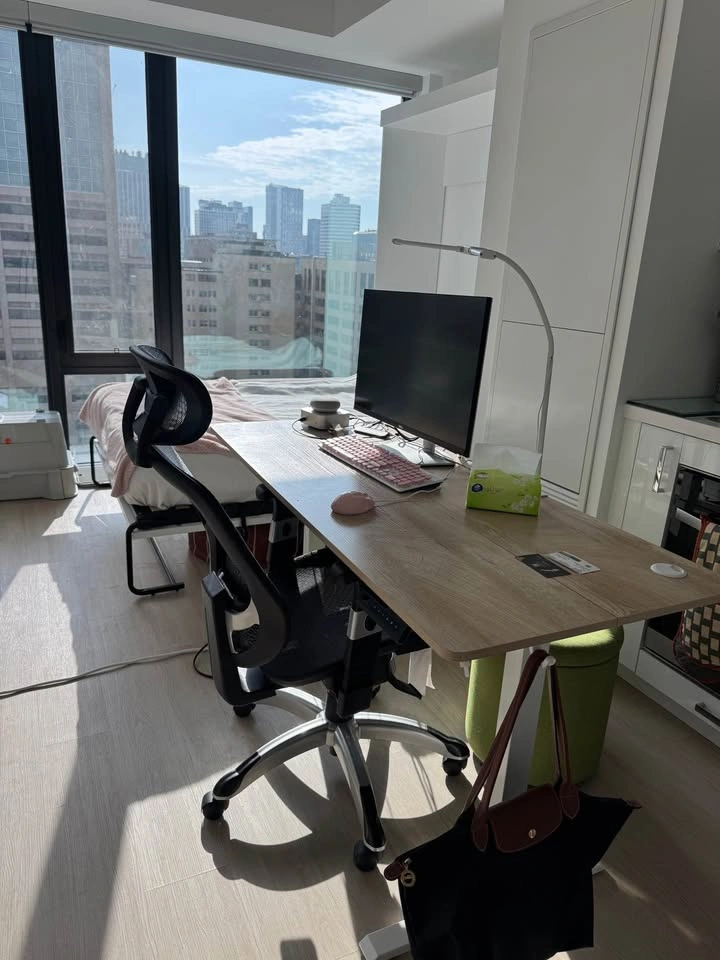 Electric Standing Desk - photo 4