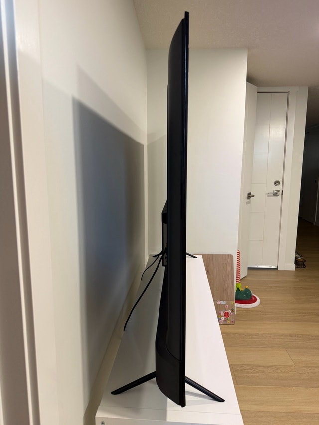 65" Roku Smart TV and TV Stand - photo 2