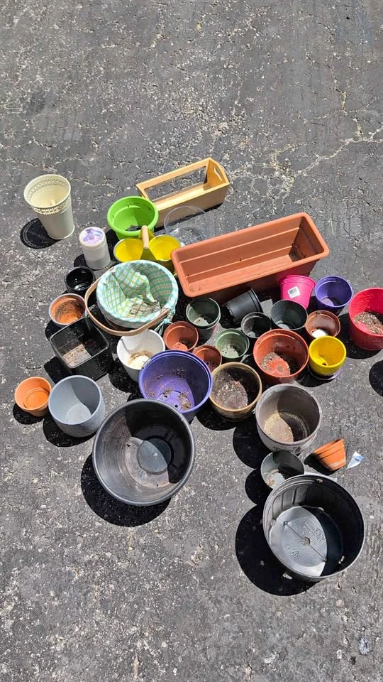 Free flower pots