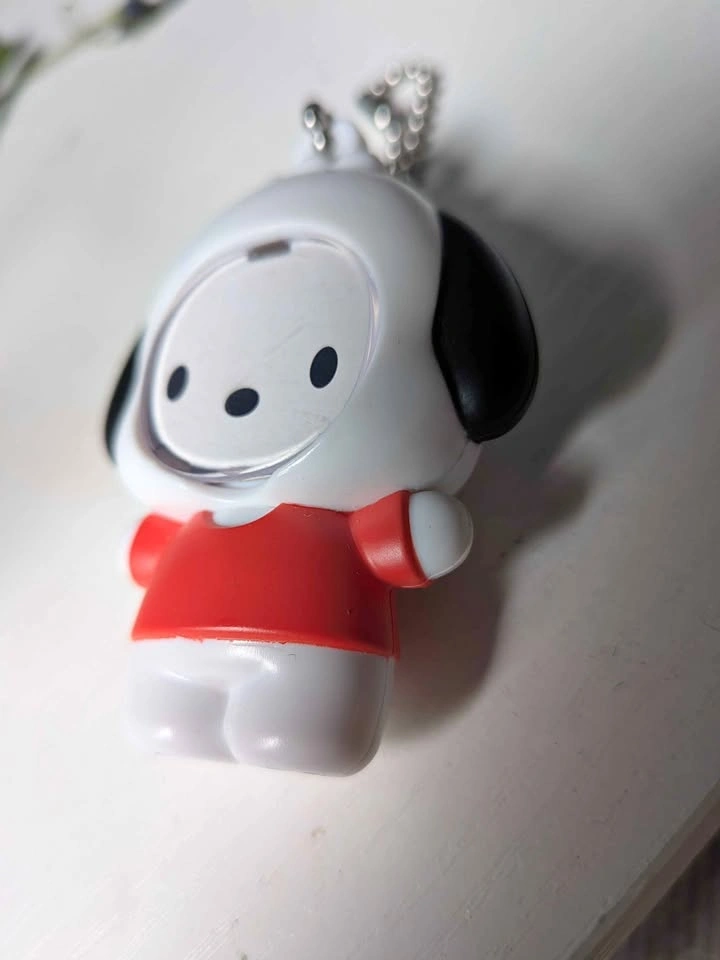 Sanrio Pochacco Photo Frame Mascot Keychain