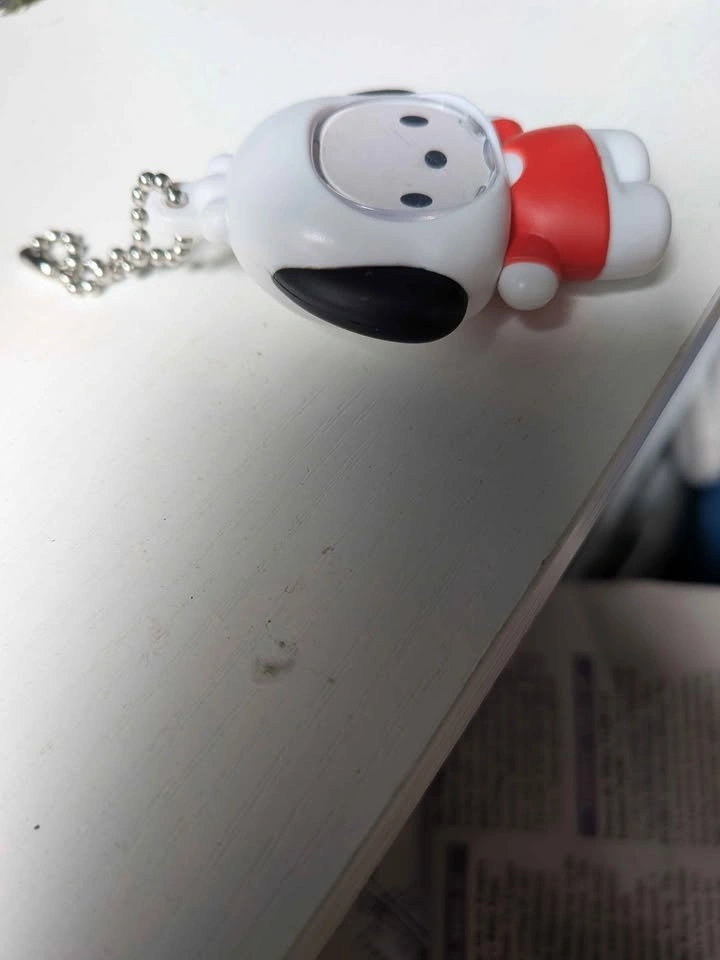 Sanrio Pochacco Photo Frame Mascot Keychain - photo 4