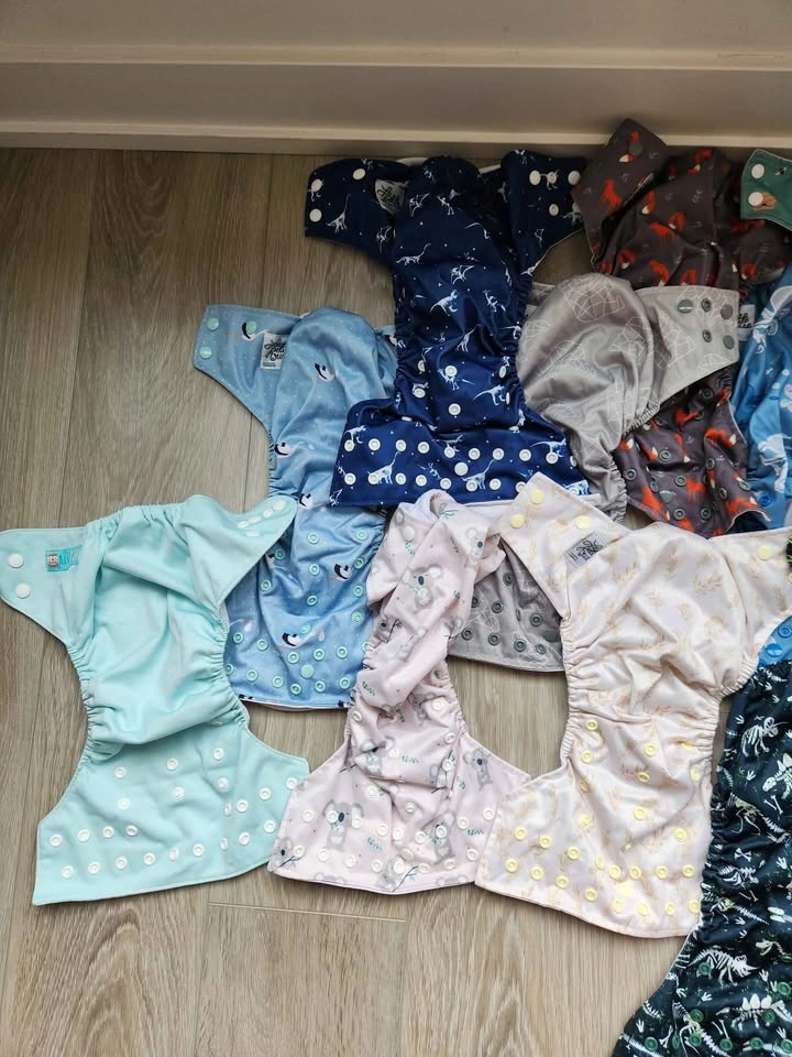 Reusable Cloth Diaper Lot - photo 2