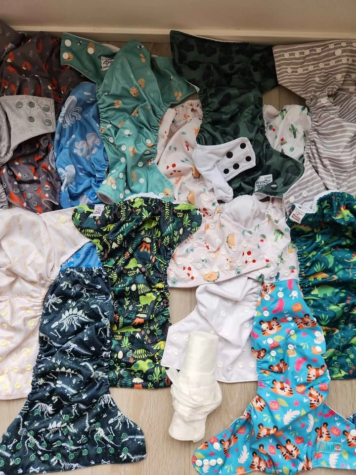 Reusable Cloth Diaper Lot - photo 3