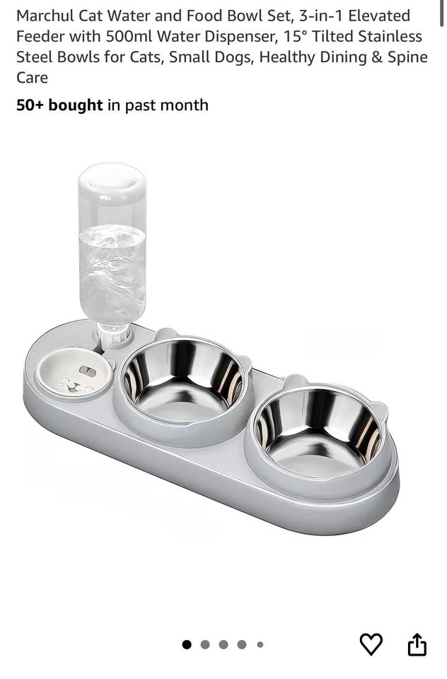 Cat Water & Food Bowl Set with Dispenser