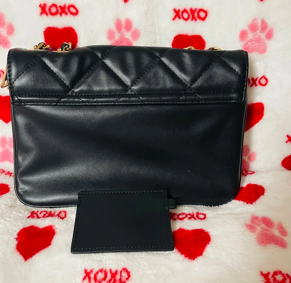 ALDO Black purse