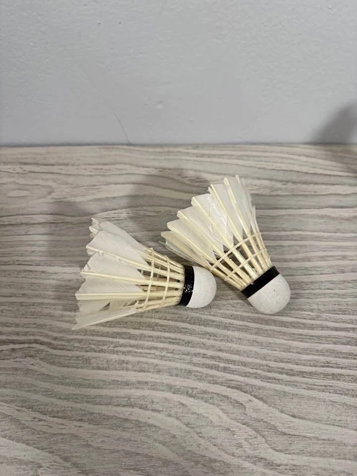 2 shuttlecocks