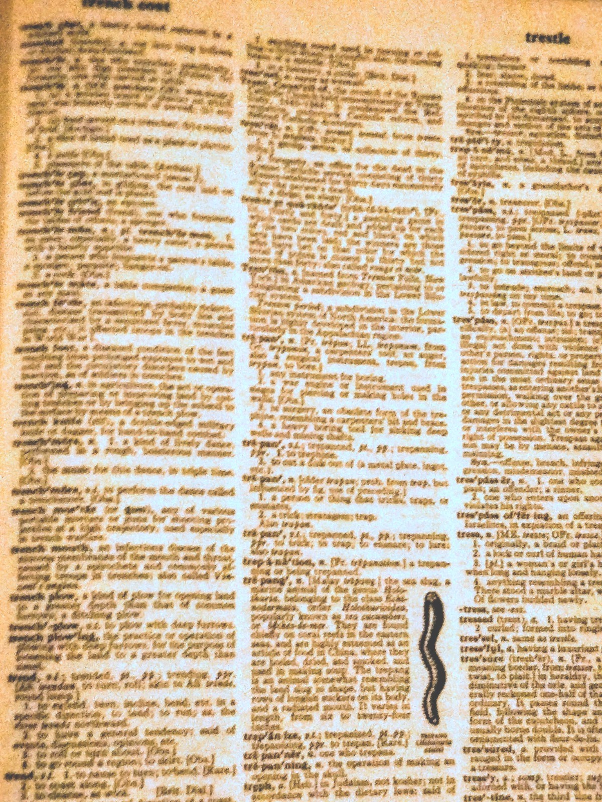 Webster's New Twentieth Century Dictionary Unabridged - photo 2