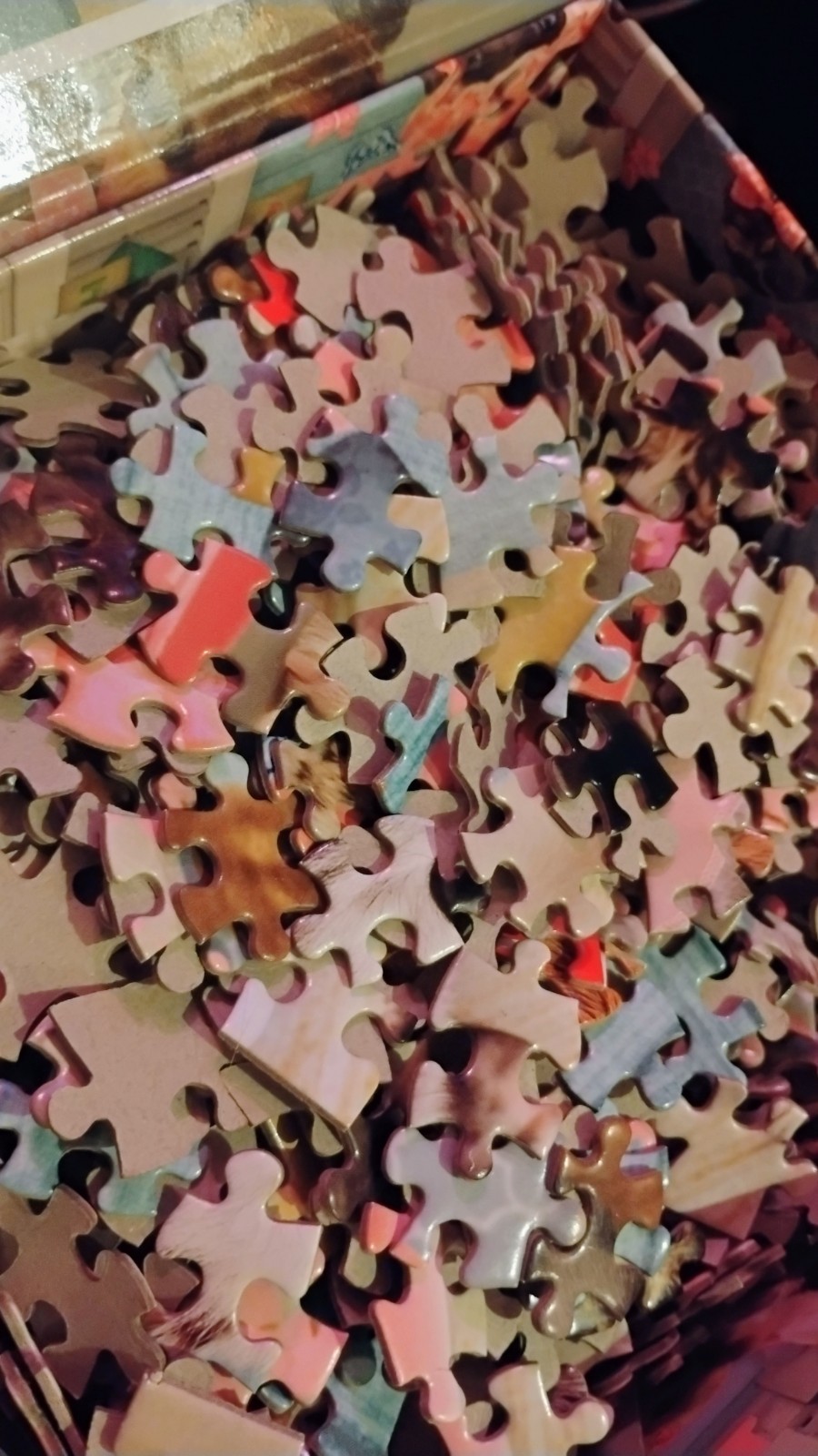 Jumbo Myrna "True Love Studio Pets" 500 Piece Jigsaw Puzzle - photo 3