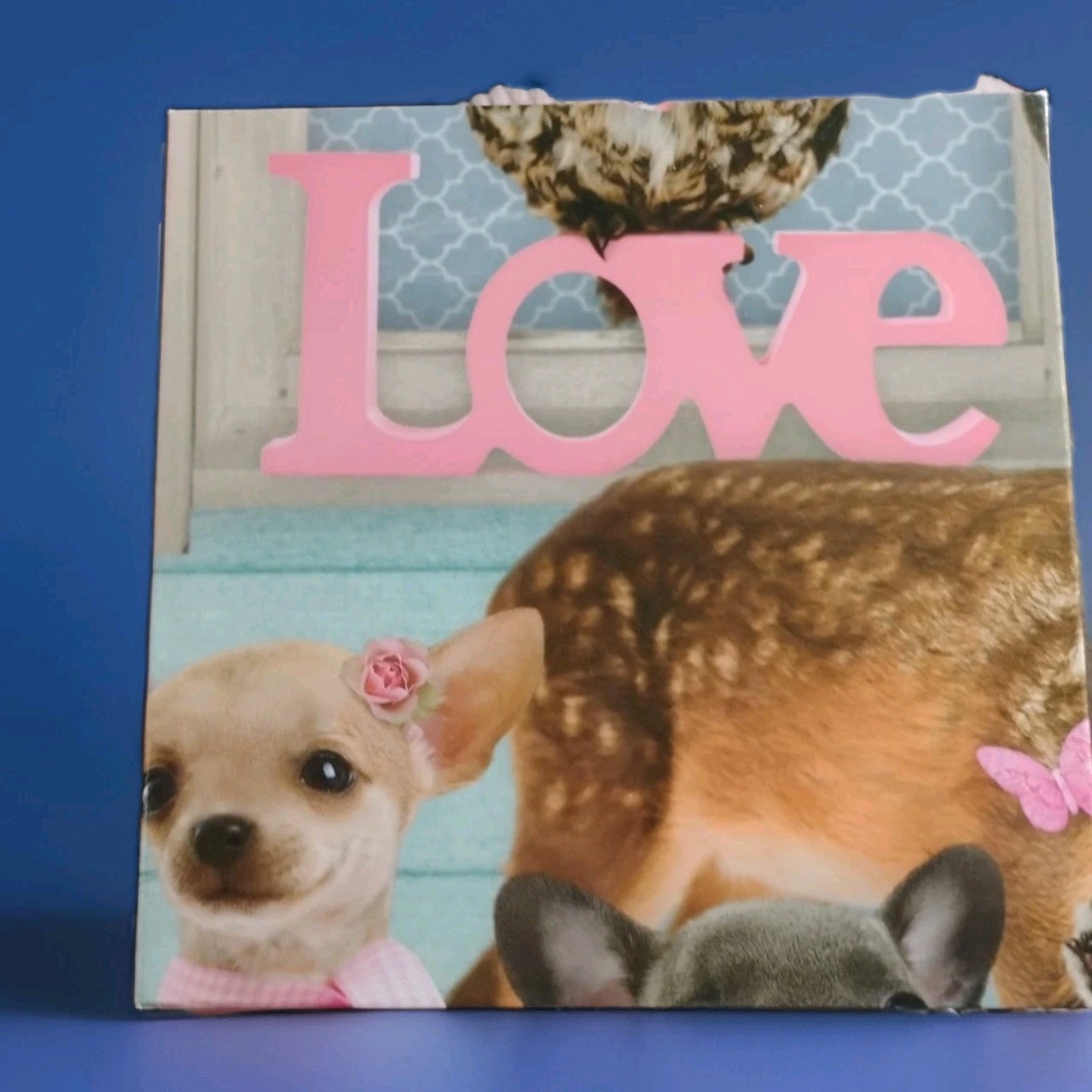 Jumbo Myrna "True Love Studio Pets" 500 Piece Jigsaw Puzzle - photo 5