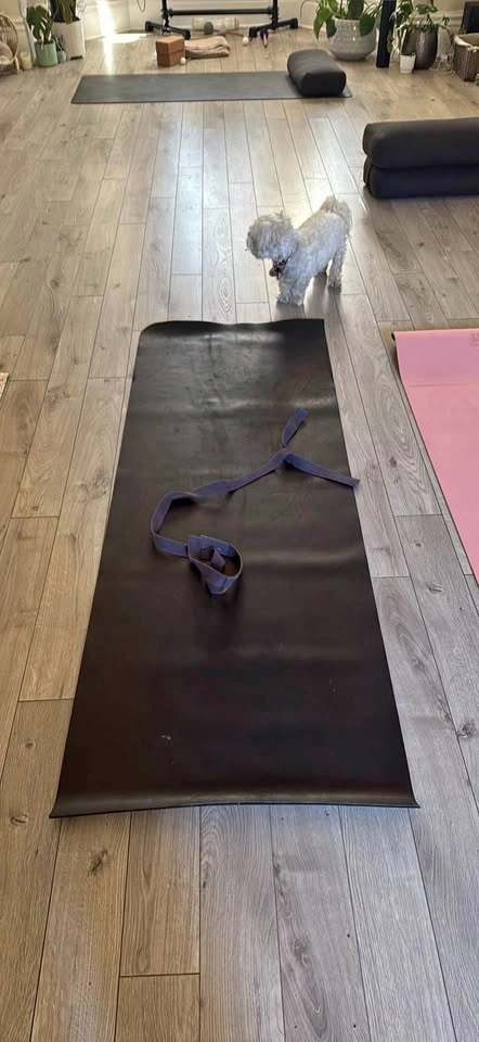 Black Lululemon Rubber Mat with Strap