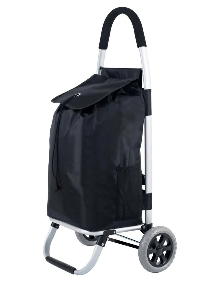 Mainstays Shopping Cart with Aluminum Frame