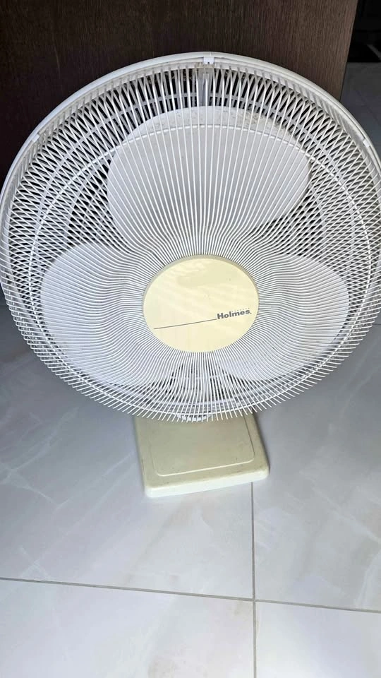 Electric Fan