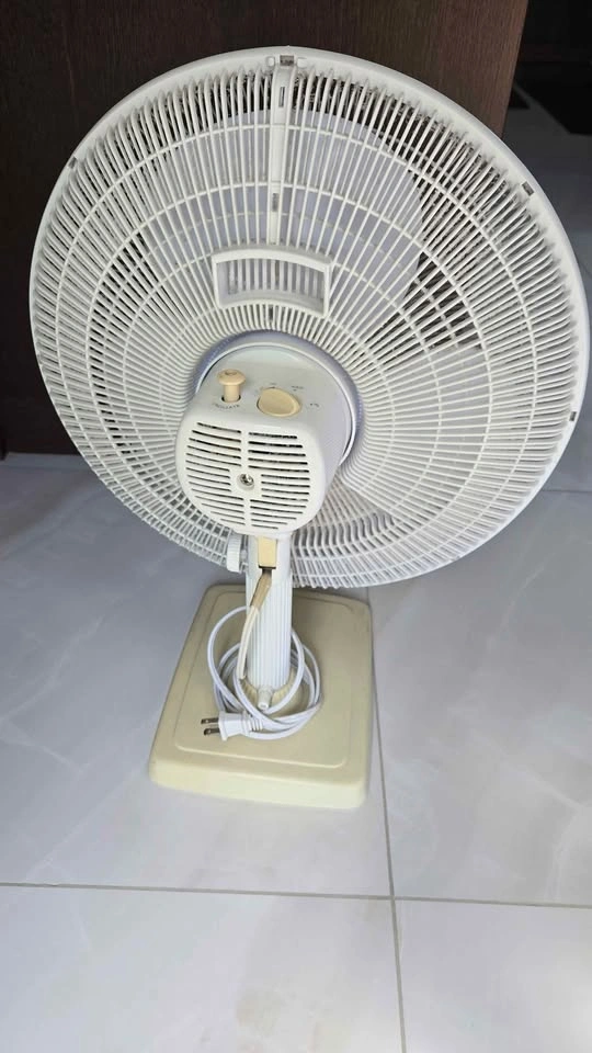 Electric Fan - photo 2