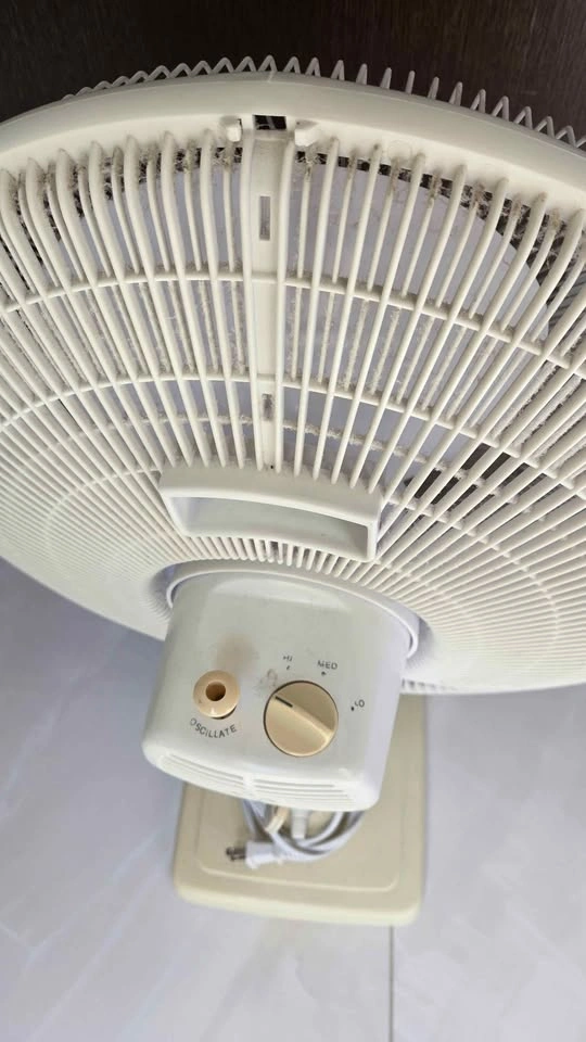 Electric Fan - photo 3