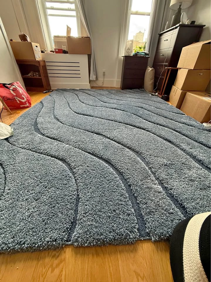 8x10 SAFAVIEH Shag Area Rug (MOVING SALE)