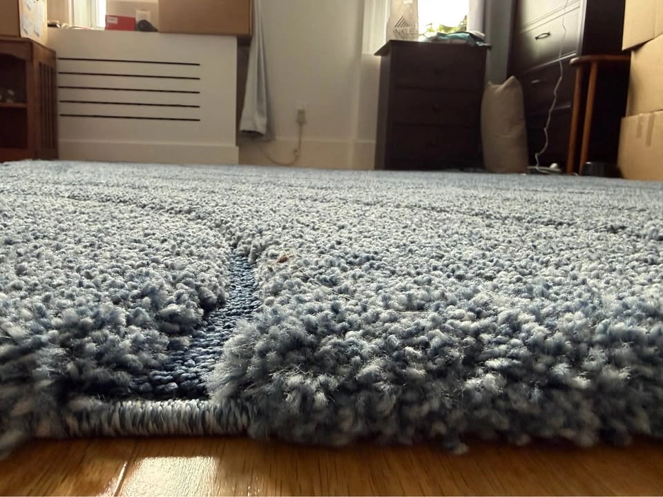 8x10 SAFAVIEH Shag Area Rug (MOVING SALE) - photo 2