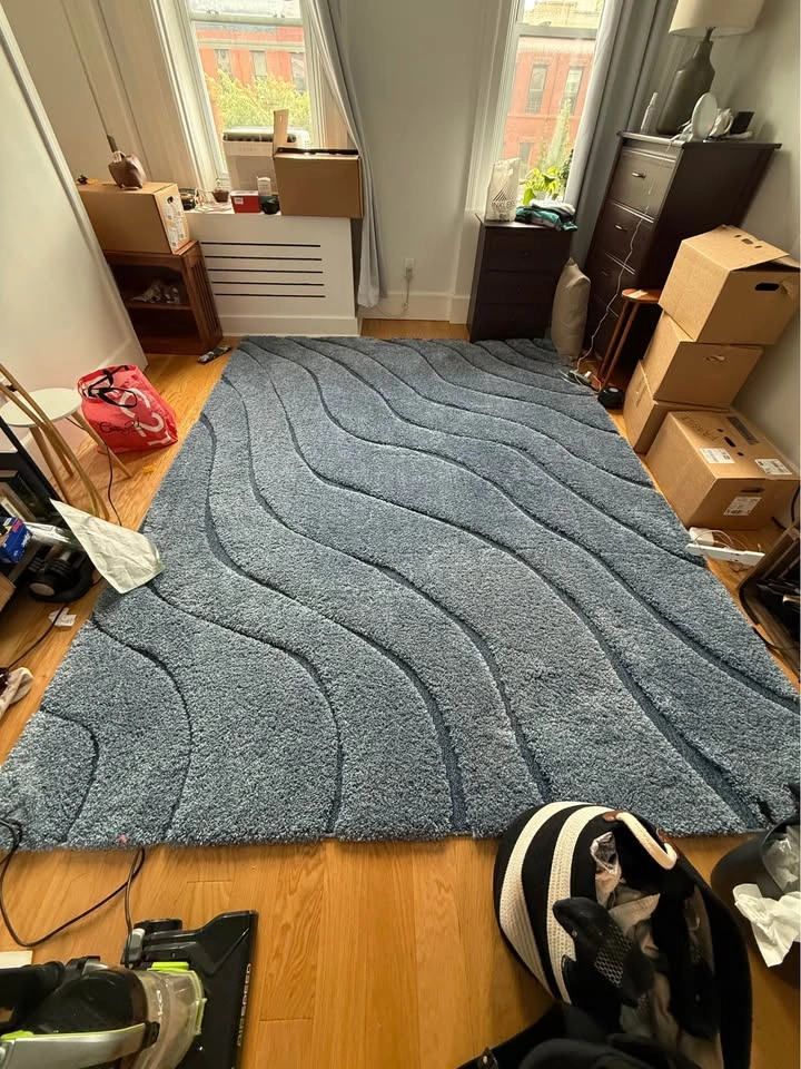 8x10 SAFAVIEH Shag Area Rug (MOVING SALE) - photo 3